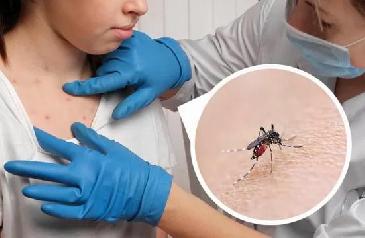 La perspectiva del Dengue